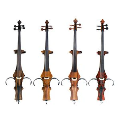 Zanimanje Napredno električno violončelo